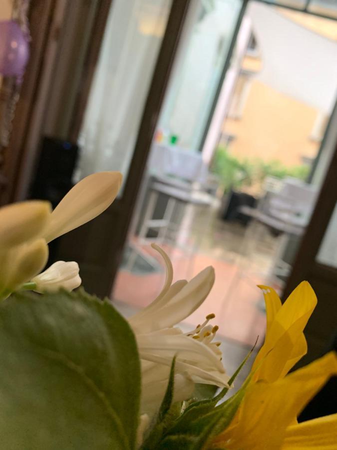 Le 5 Vie Bed & Breakfast Бергамо Екстериор снимка